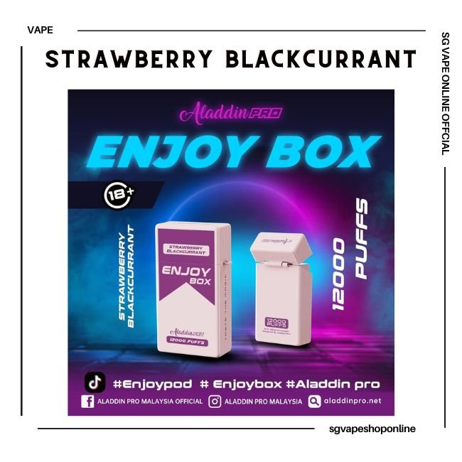 aladdin-enjoy-box-12000-puff-strawberry-blackcurrant-disposable-vape-shop-singapore
