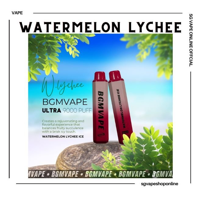 bgm-vape-9000-puff-watermelon-lychee-disposable-vape-shop-singapore