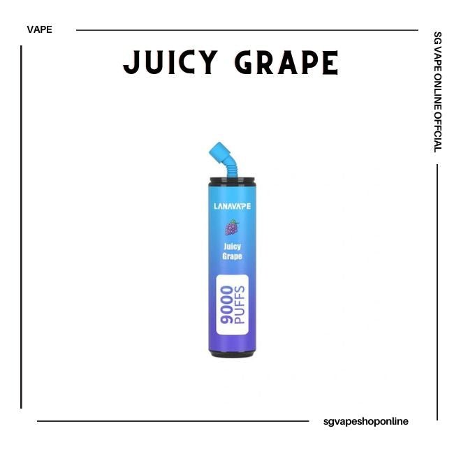 lana-blend-9000-puff-juicy-grape-disposable-vape-shop